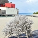 frame_coral_lan_baa_v_0009_mal0048.jpg